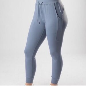 Alphalete Premium V2 Joggers Pant Ionic Blue Small S Lounge Athleisure Gym Comfy